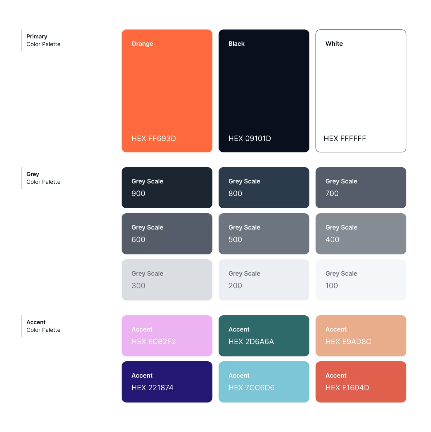 Color Palette